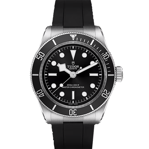  TUDOR Black Bay
